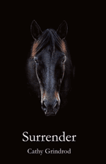 9781910170953-sm-387x600