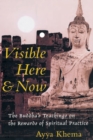 Visible Here and Now : The Buddha's Teachings on the Rewards of Spiritual Practice