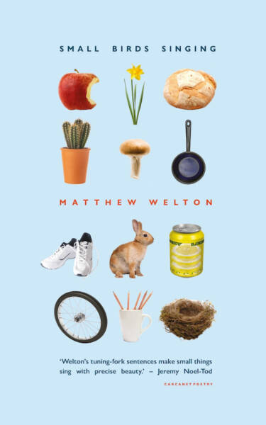 Small Birds Singing, poetry from Matthew Welton