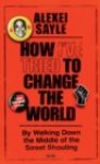 How I've Tried to Change the World : By Walking Down the Middle of the Street Shouting